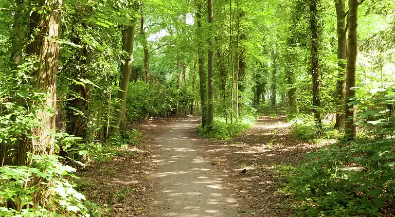 Holiday home in Huizen