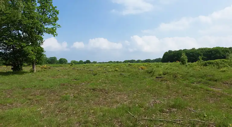 Holiday home in Huizen