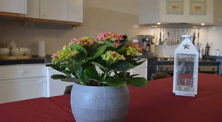 Semesterbostad i Noordbeemster