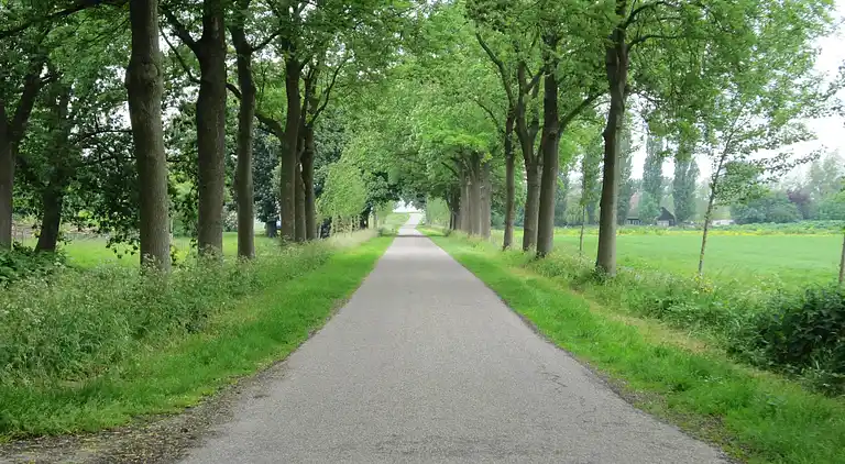 Semesterbostad i Noordbeemster