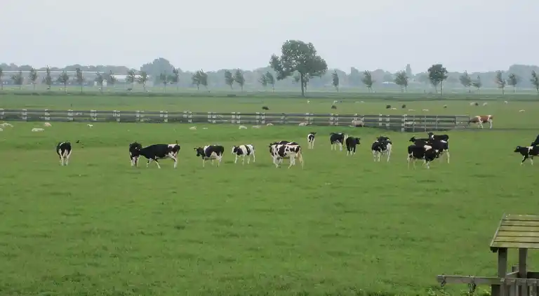 Semesterbostad i Noordbeemster