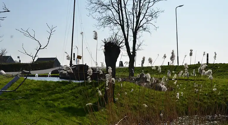 Villa in West-Graftdijk