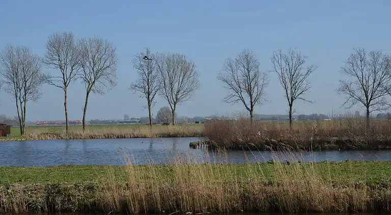 Villa in West-Graftdijk
