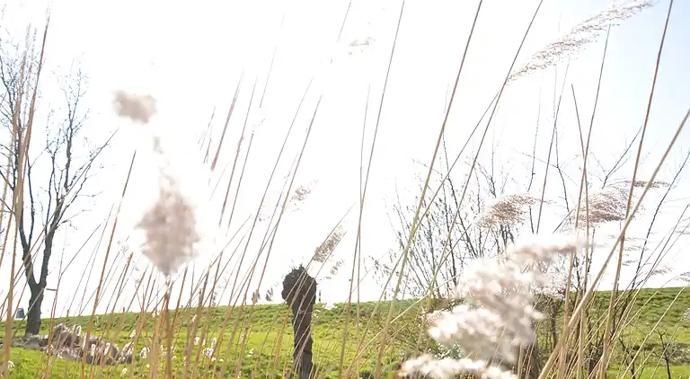 Bungalow i Oost-Graftdijk