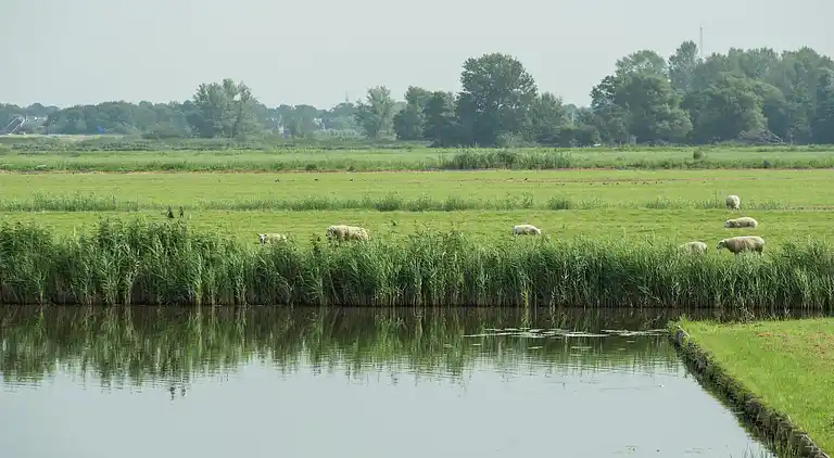 Bungalow i Oost-Graftdijk