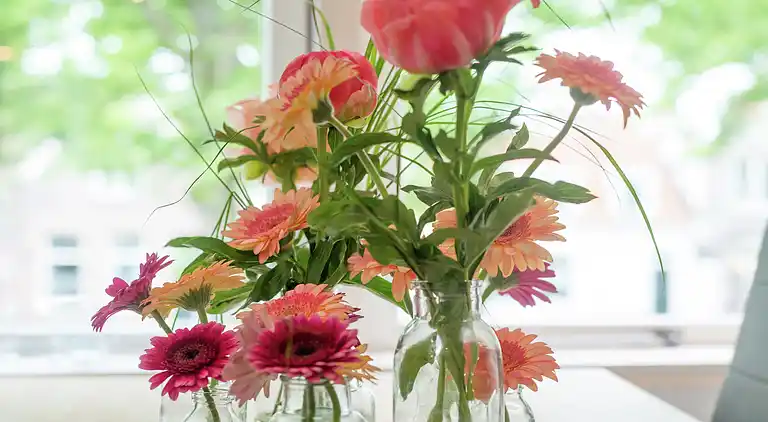 Leilighet i Binnenstad Hoorn