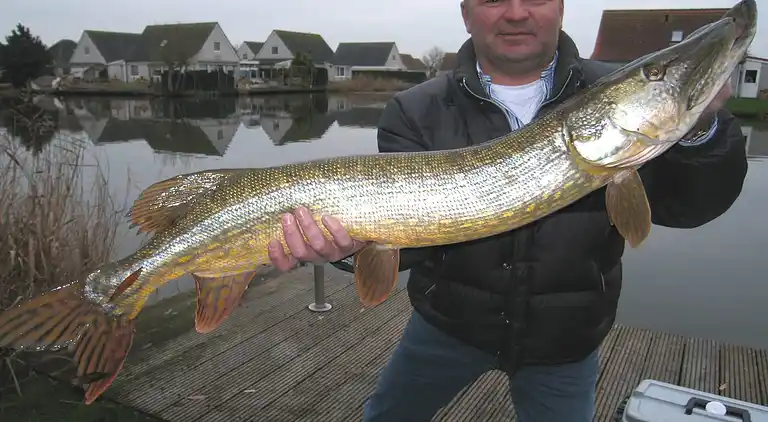 Maison de vacances au Wervershoof