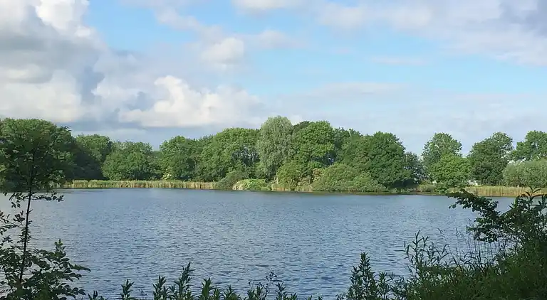 Cottage in Hensbroek