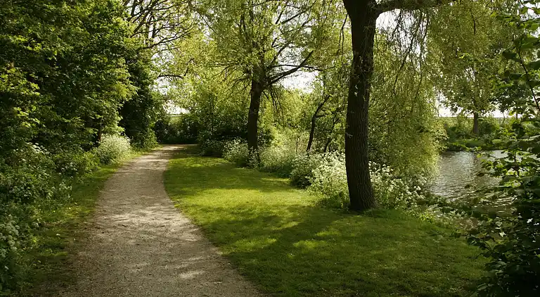 Cottage in Hensbroek