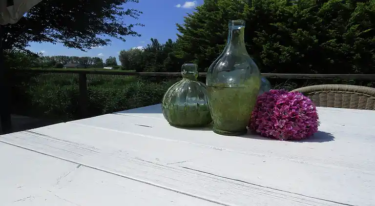 Cottage in Hensbroek