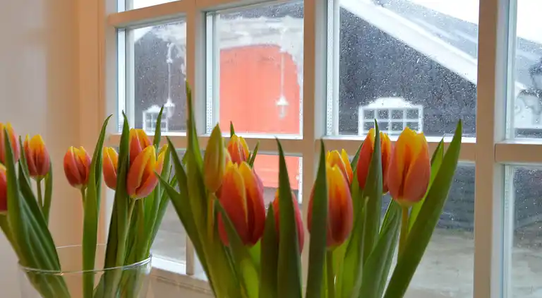 Farm house in Lutjewinkel