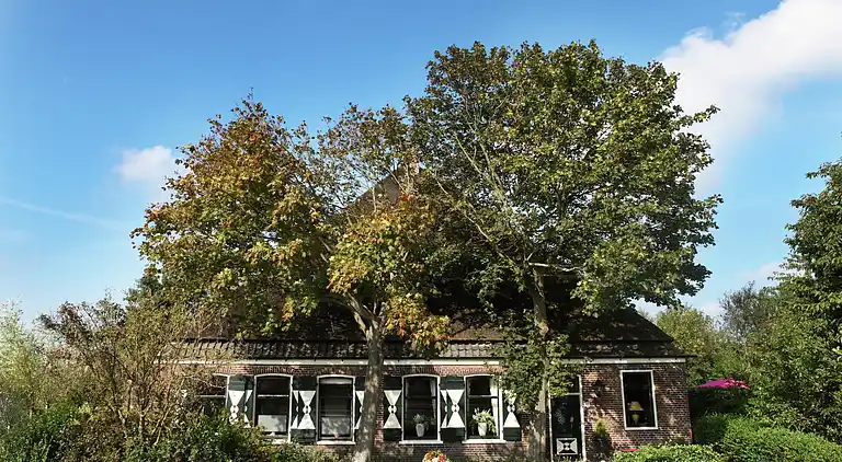 Casa rurale in Sint Maartensvlotbrug