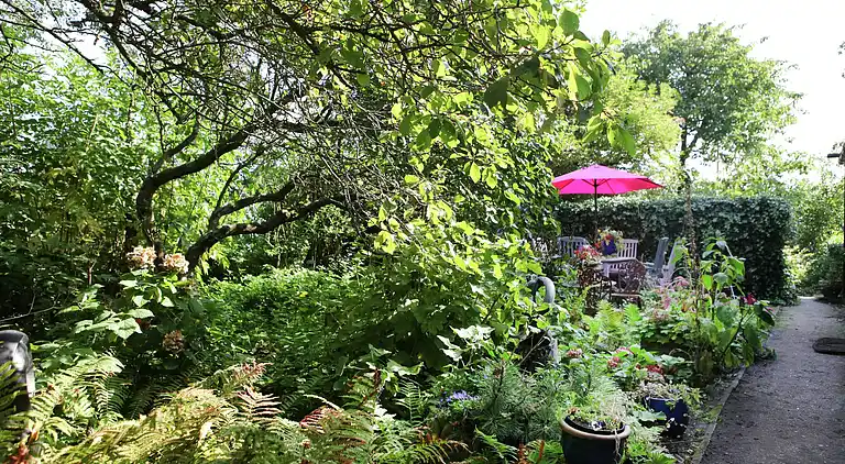 Casa rurale in Sint Maartensvlotbrug