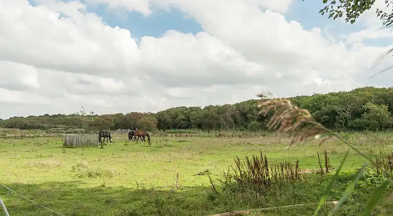 Vakantiehuis in Callantsoog