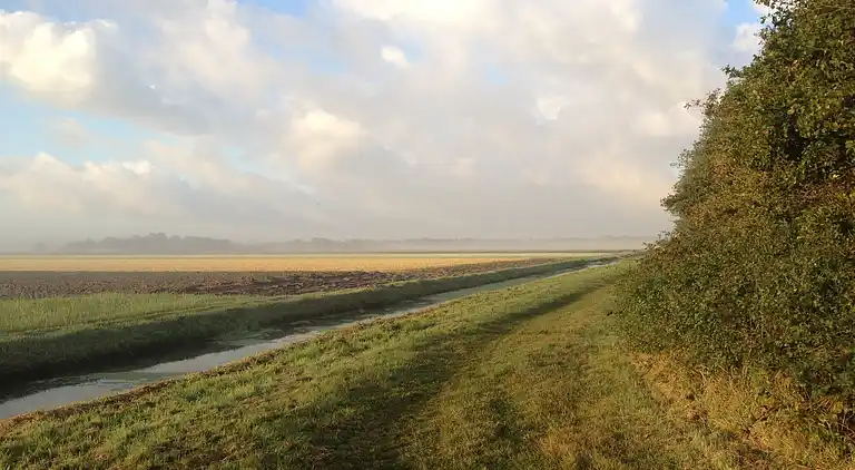 Vakantiehuis in Callantsoog