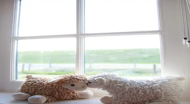 Villa in Hippolytushoef