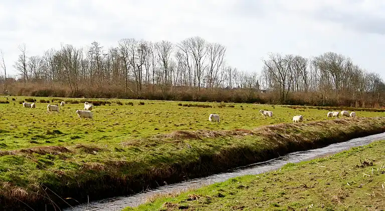 Villa au Hippolytushoef