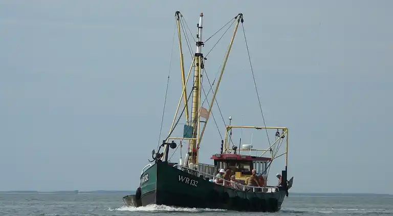 Villa in Hippolytushoef