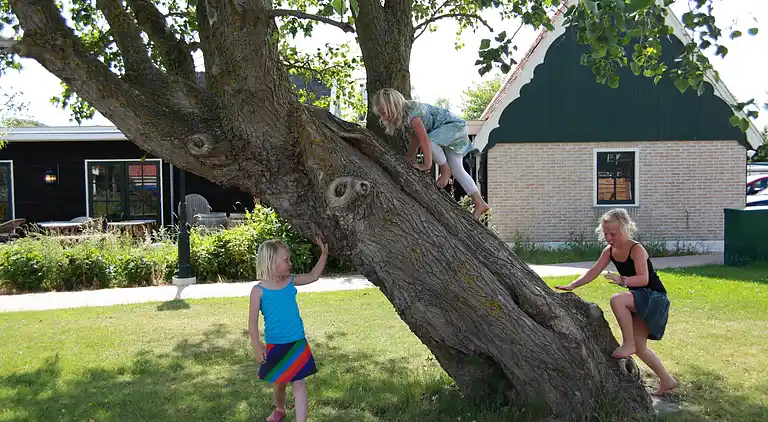 Holiday home in Hippolytushoef