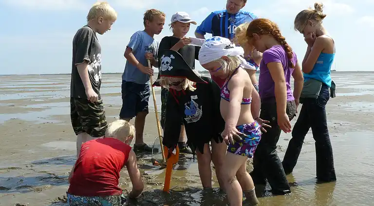 Villa in Hippolytushoef