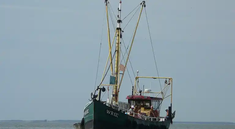 Chalet in Hippolytushoef