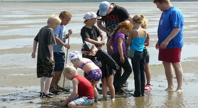 Cottage in Hippolytushoef