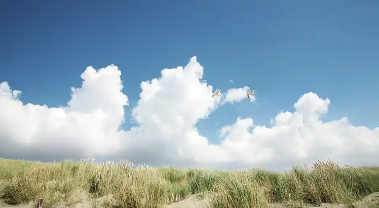 Villa in Julianadorp