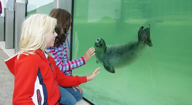 Villa i De Cocksdorp