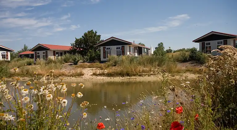 Hytte i De Cocksdorp