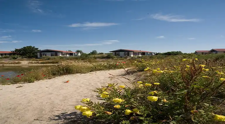 Chalet in De Cocksdorp