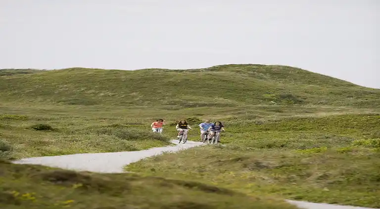 Feriebolig i De Cocksdorp