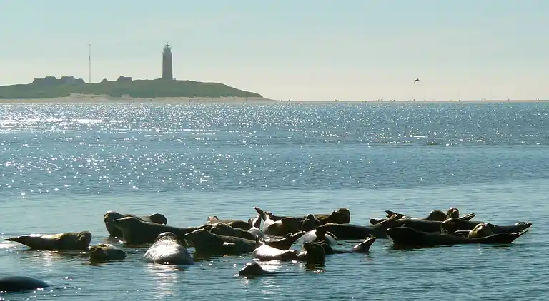 Appartement in Den Burg