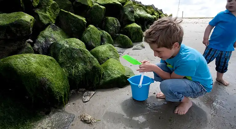 Apartment in Den Burg