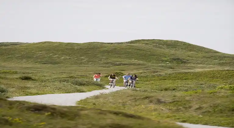 Apartment in Den Burg
