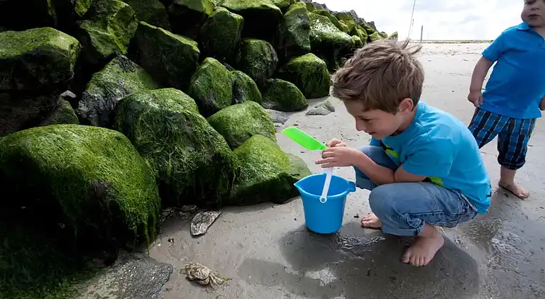 Ferielejlighed i Den Burg