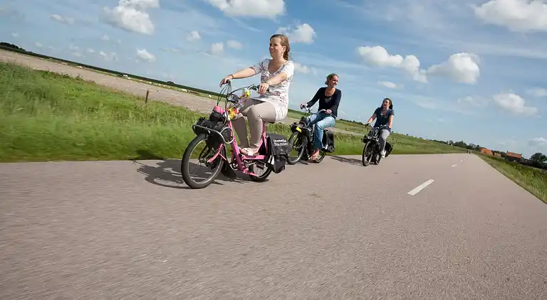 Ferielejlighed i Den Burg