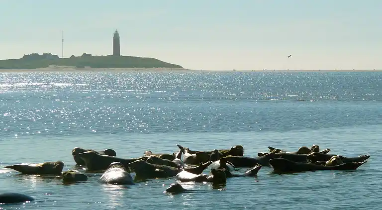 Apartment in Den Burg