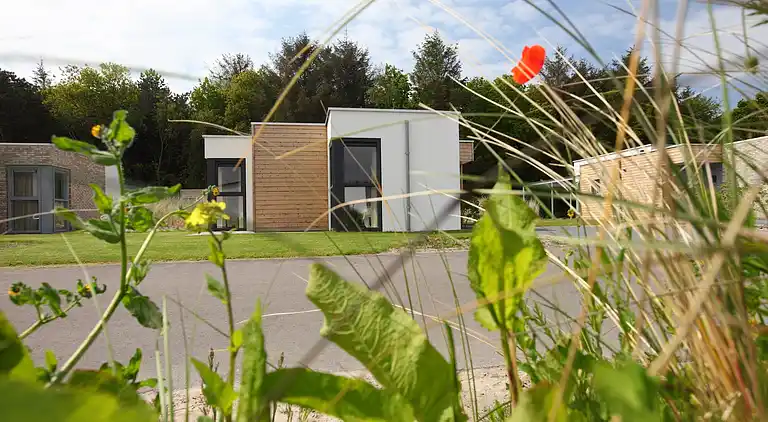 Maison de vacances au De Koog