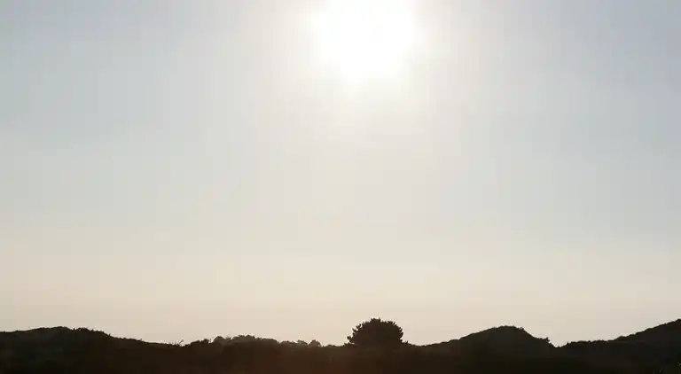 Holiday home in Schoorl