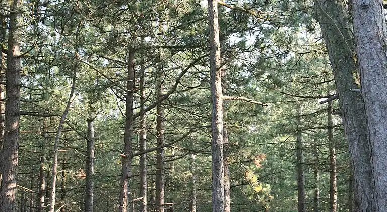 Holiday home in Schoorl