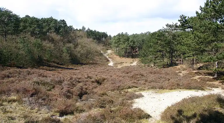 Holiday home in Schoorl