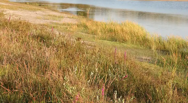 Holiday home in Schoorl