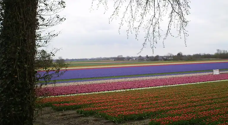 Holiday home in Schoorl