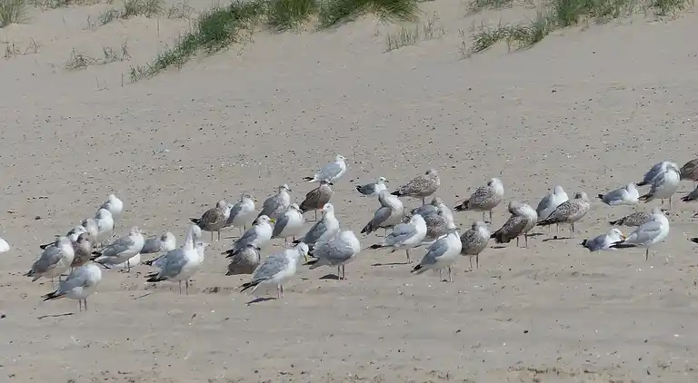 Holiday home in Schoorl