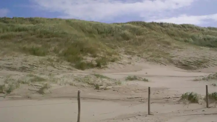 Holiday home in Schoorl