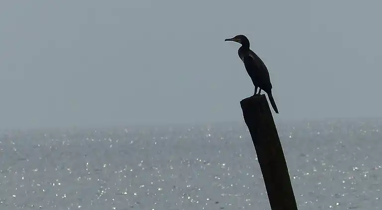 Holiday home in Schoorl