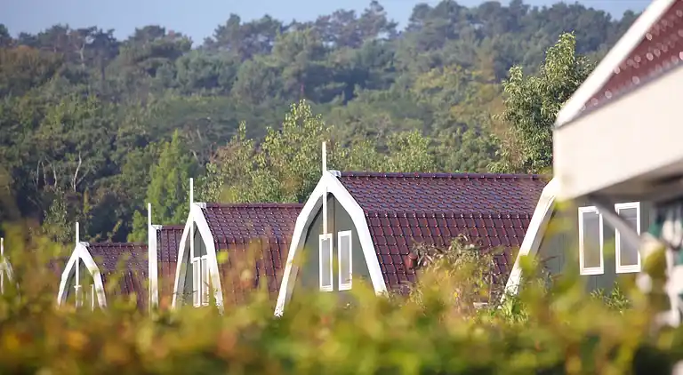 Maison de vacances au Schoorl
