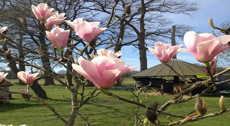 Holiday home in Aalten