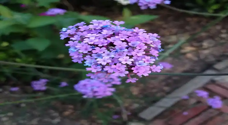 Holiday home in Aalten