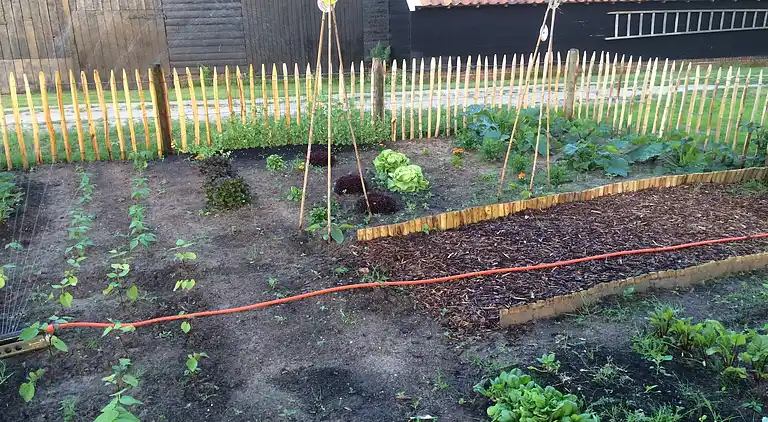 Holiday home in Aalten